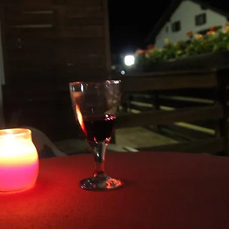 Apartment Seefeld @ Hochegg